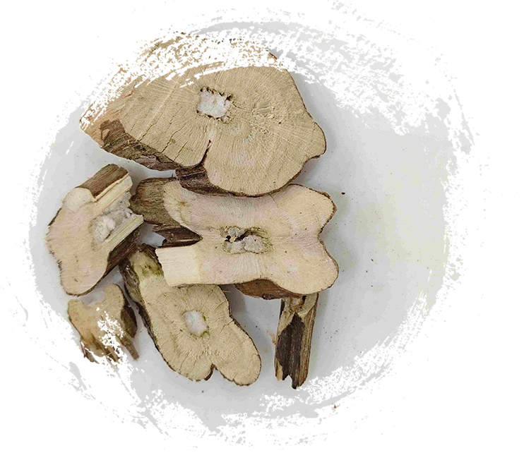 ペリラステム（Zisugeng）