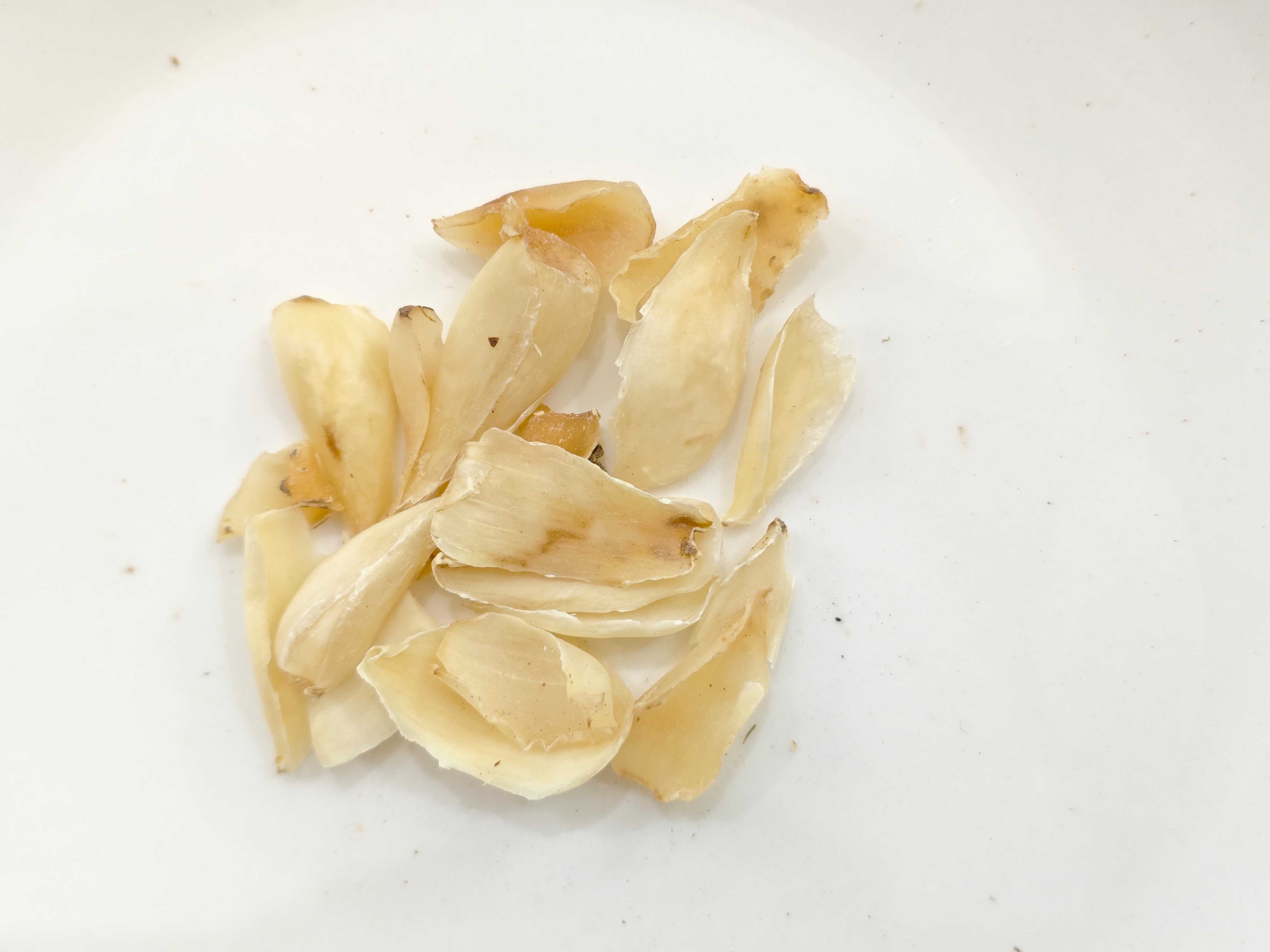 リリー球体(baihe)