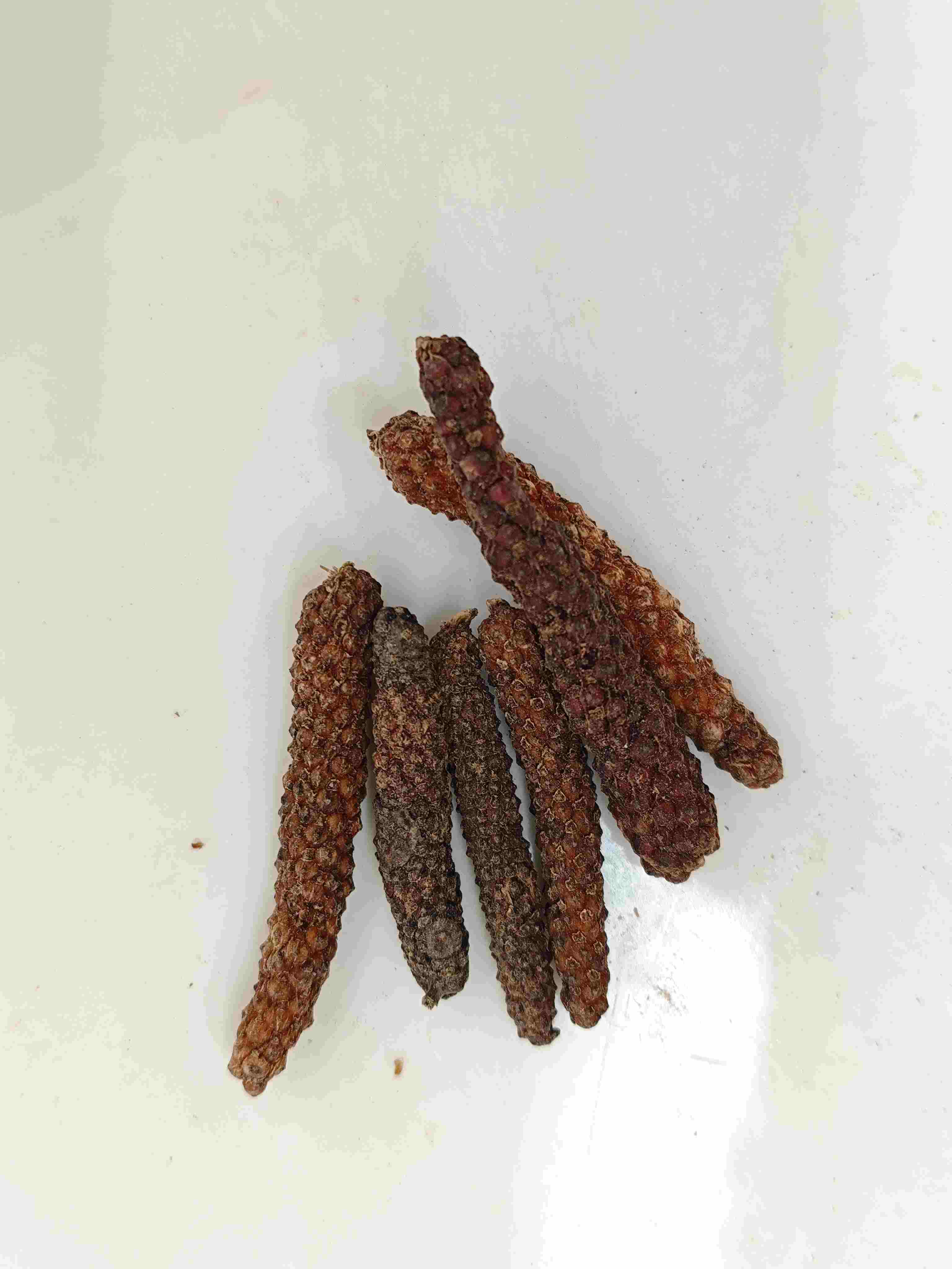 Piper Longum Fruit(BìBá)