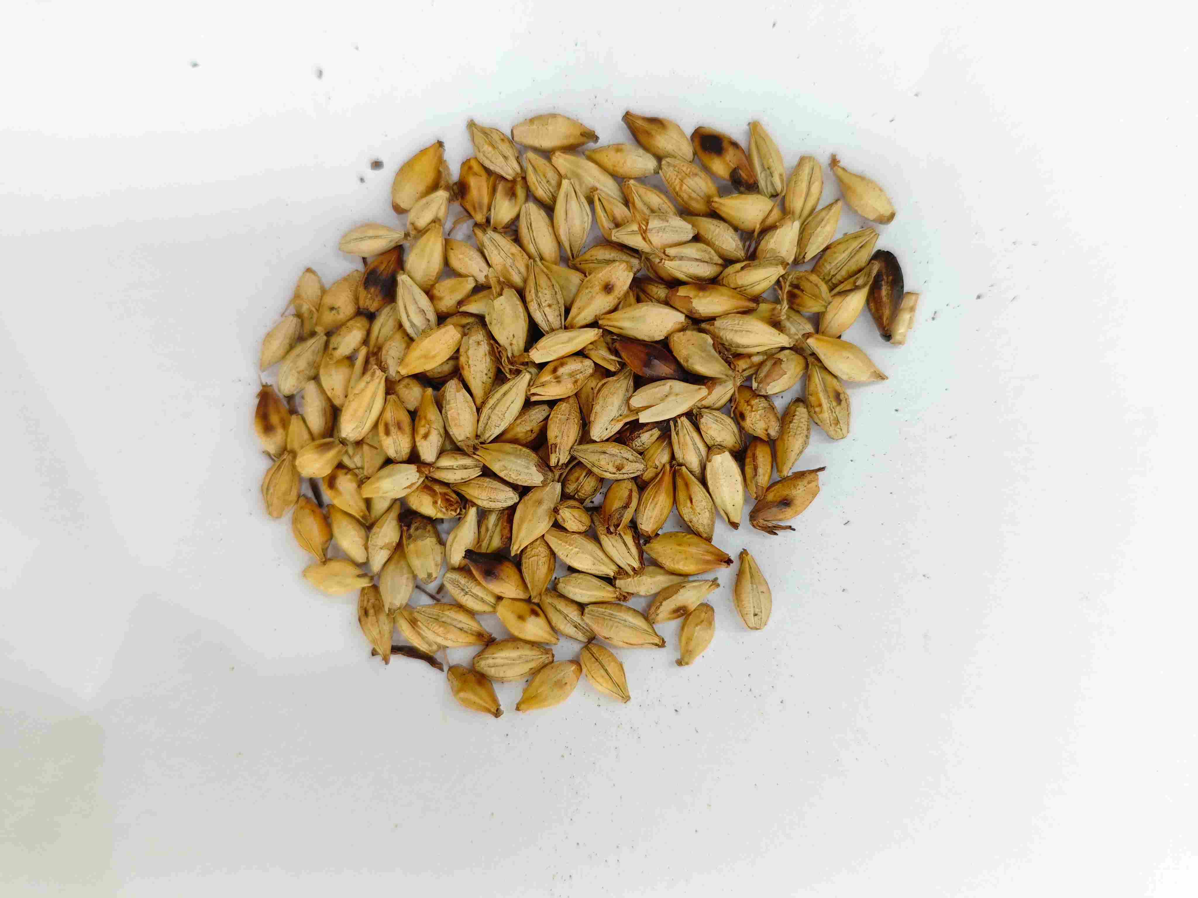 ローストした大麦モルト(ChǎoMàiYá)