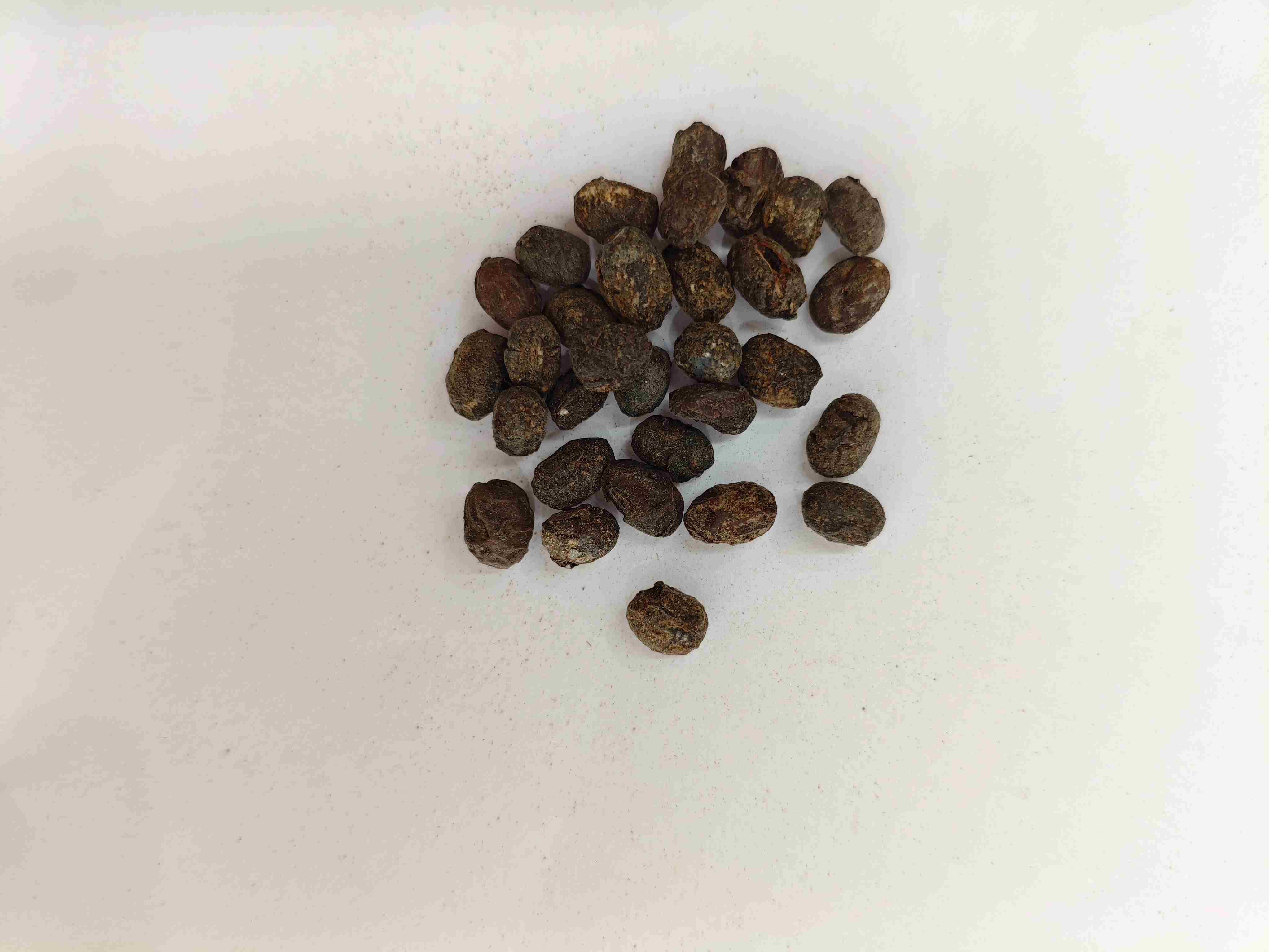 発酵大豆(dàndòuChǐ)