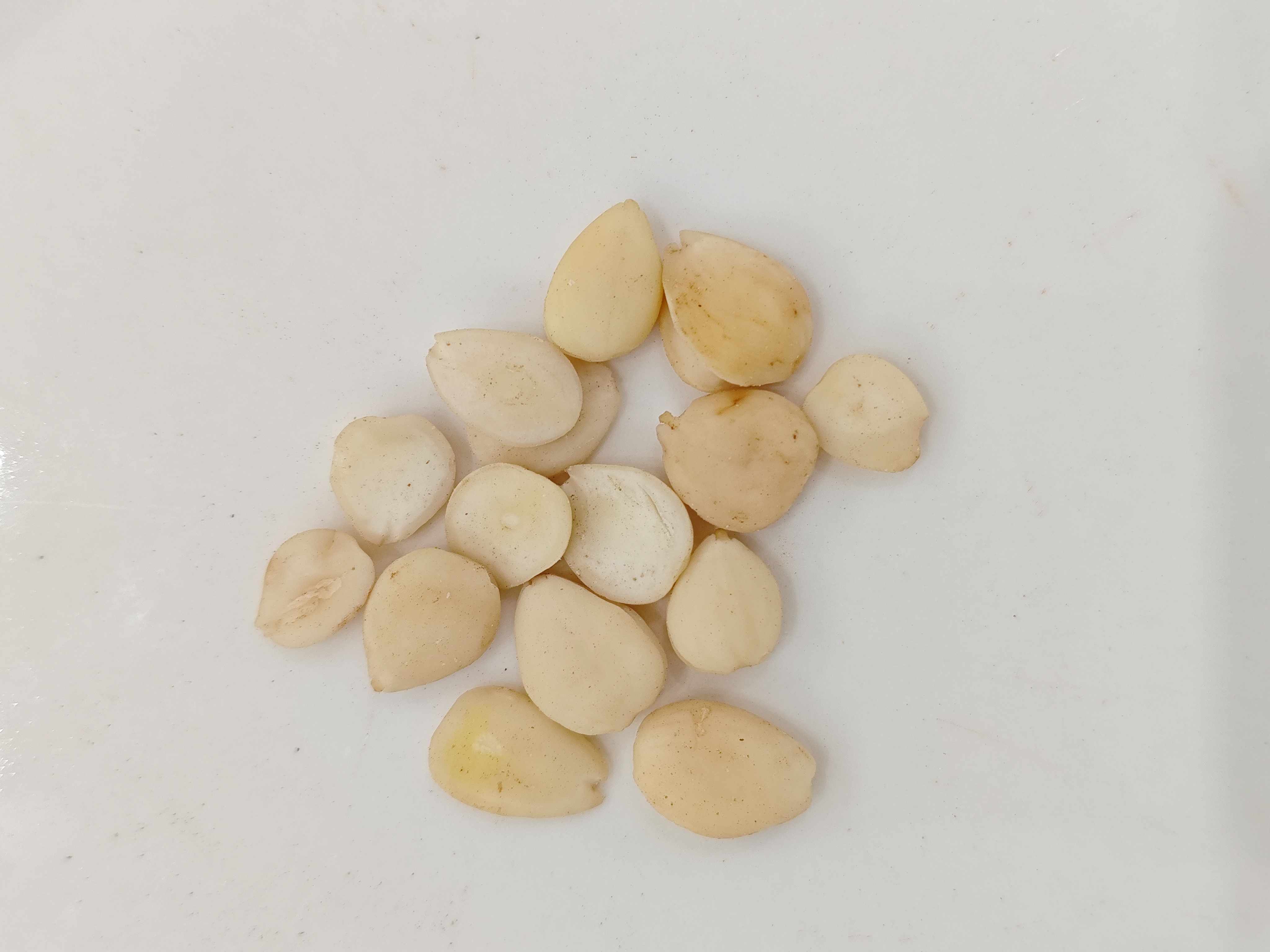 苦いアプリコットの種（kǔxìngren）