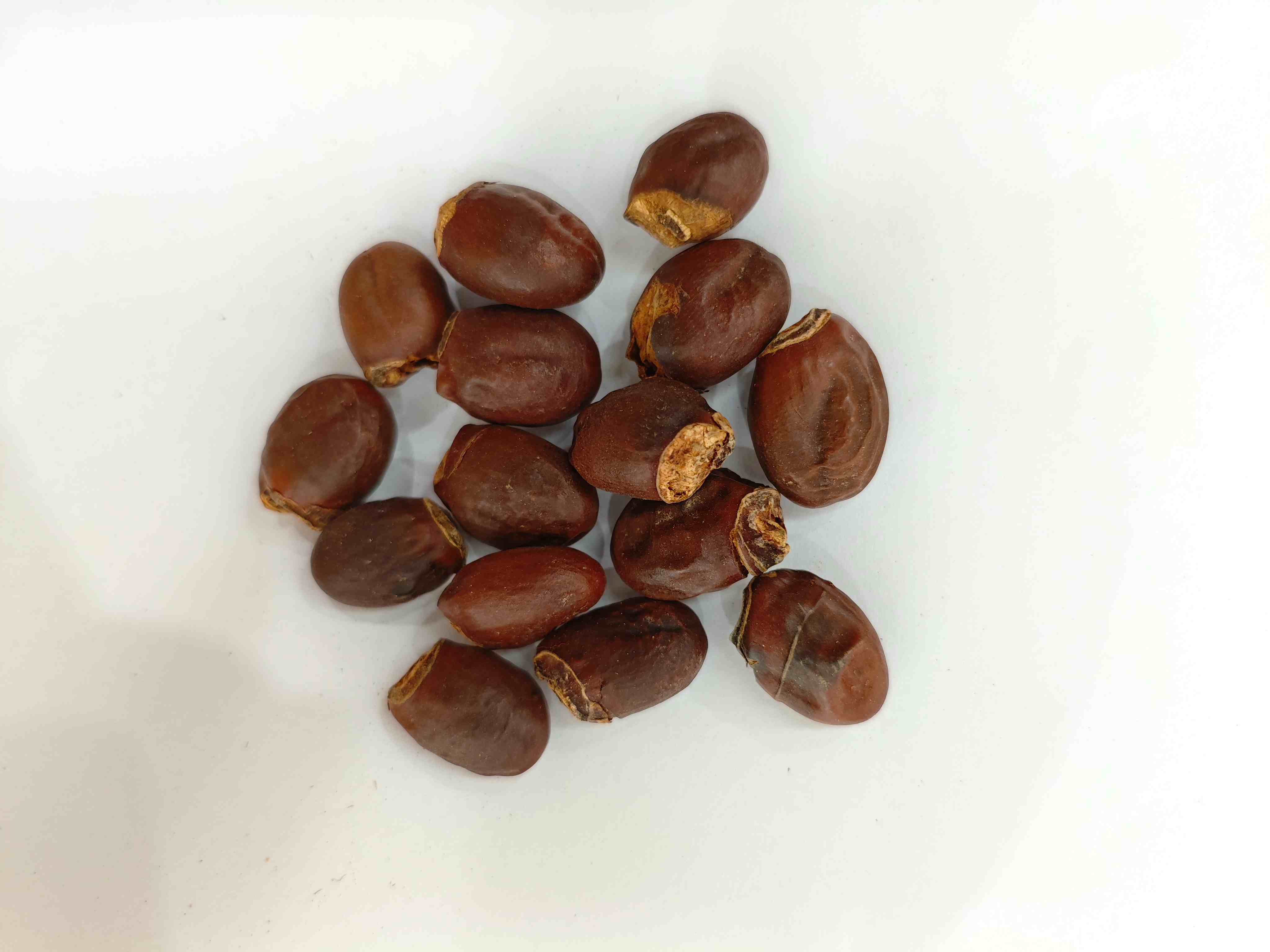 ライチの種(lìzhīhé)