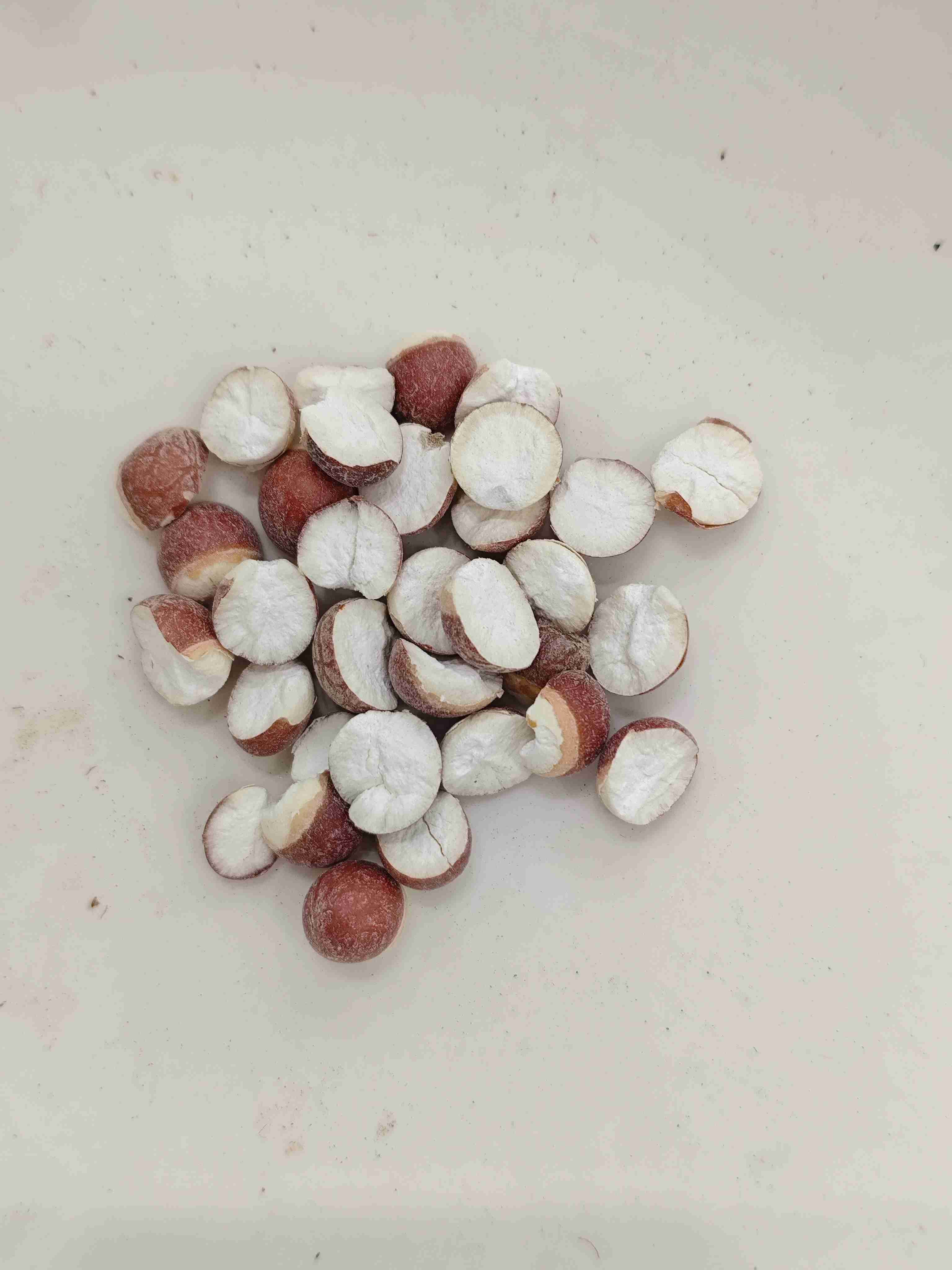 euryaleシード（qiànshí）