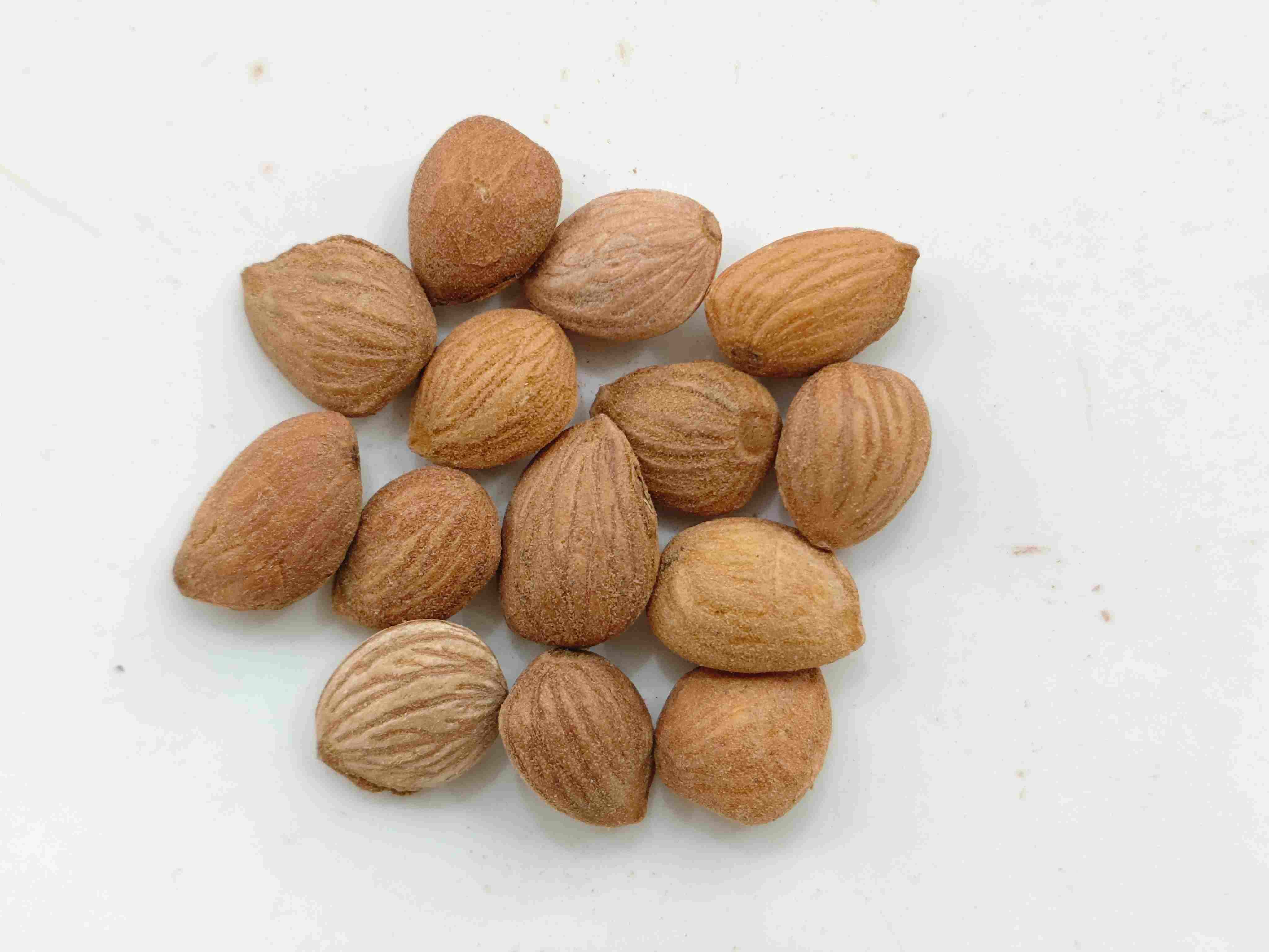 ピーチカーネル(Táorén)