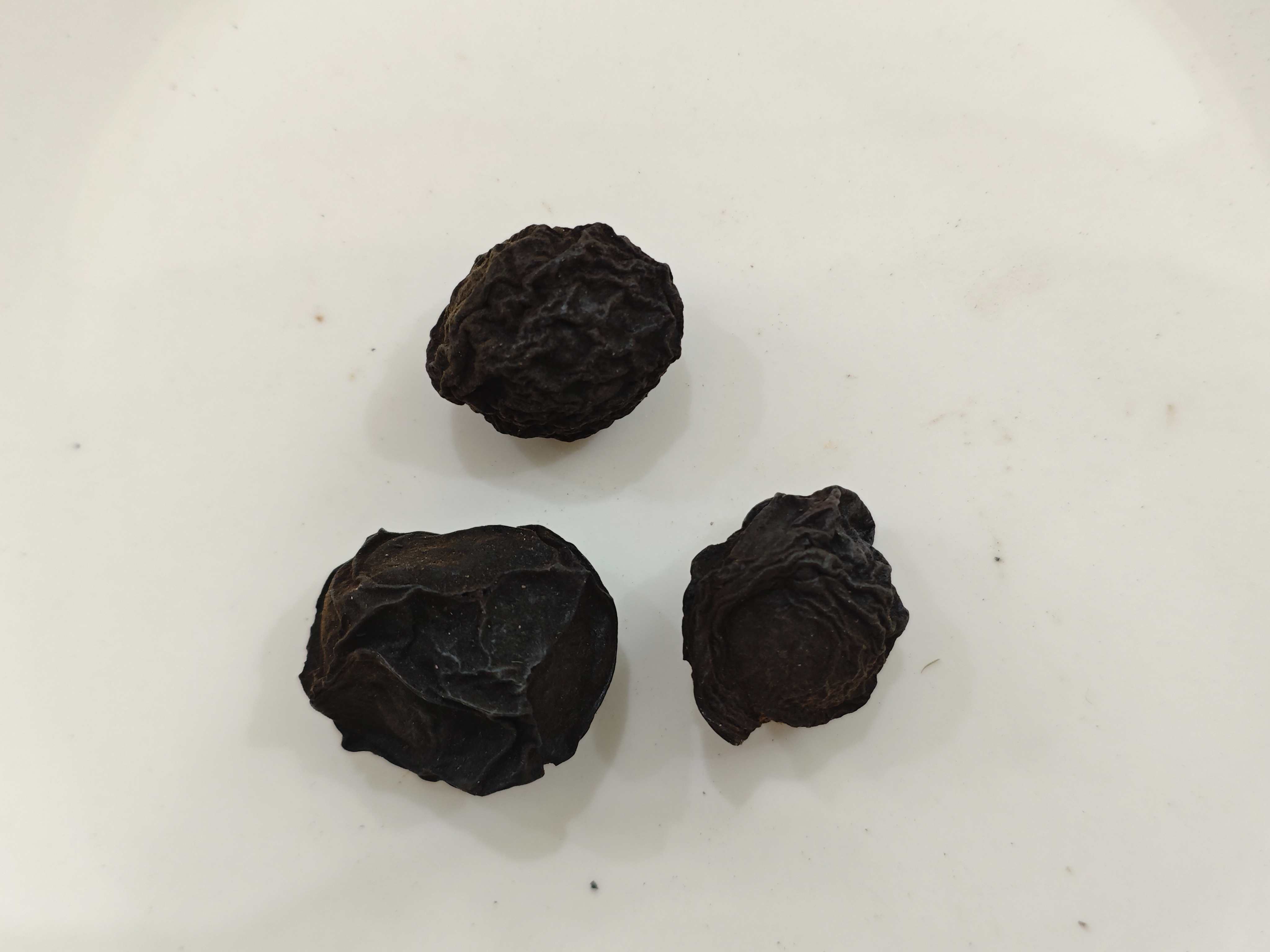 中国プラム(wūméi)