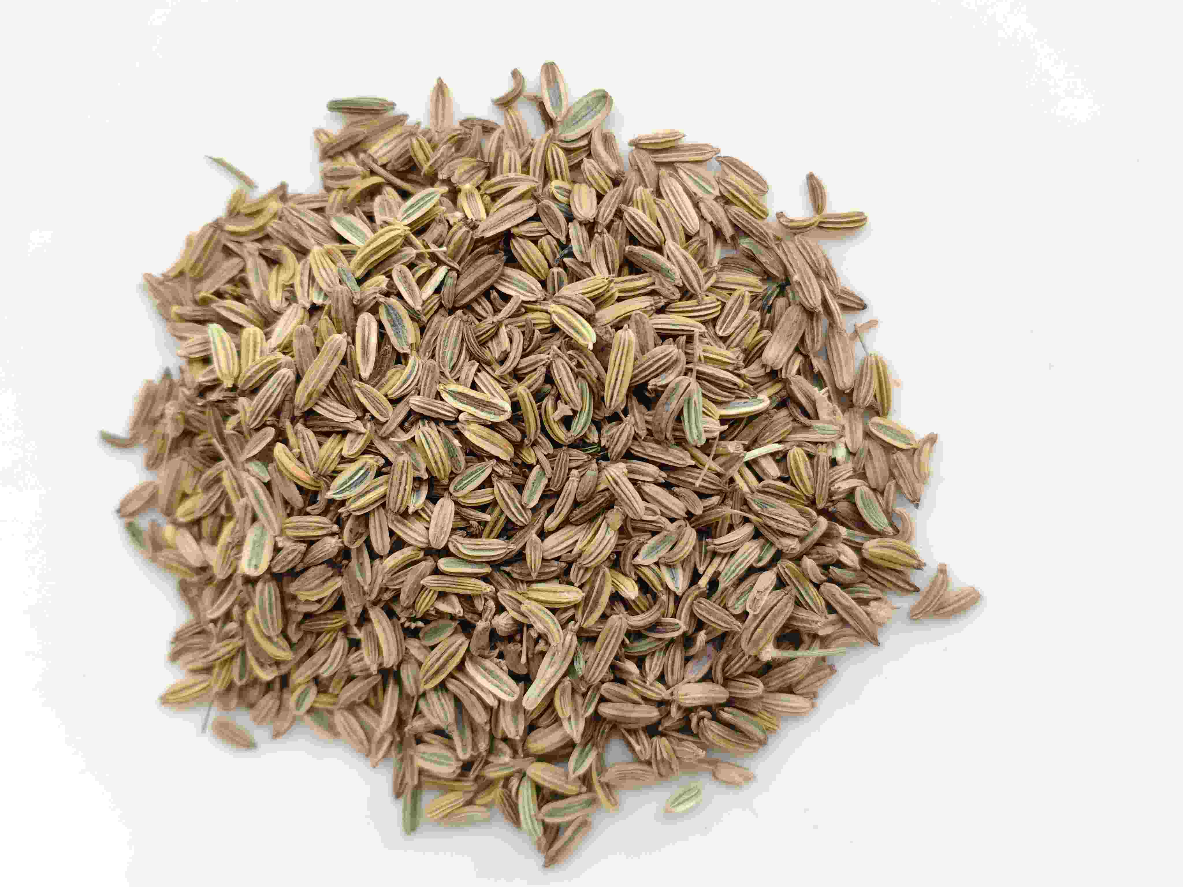 フェンネルシード（xiǎohu&iacute;xiāng）