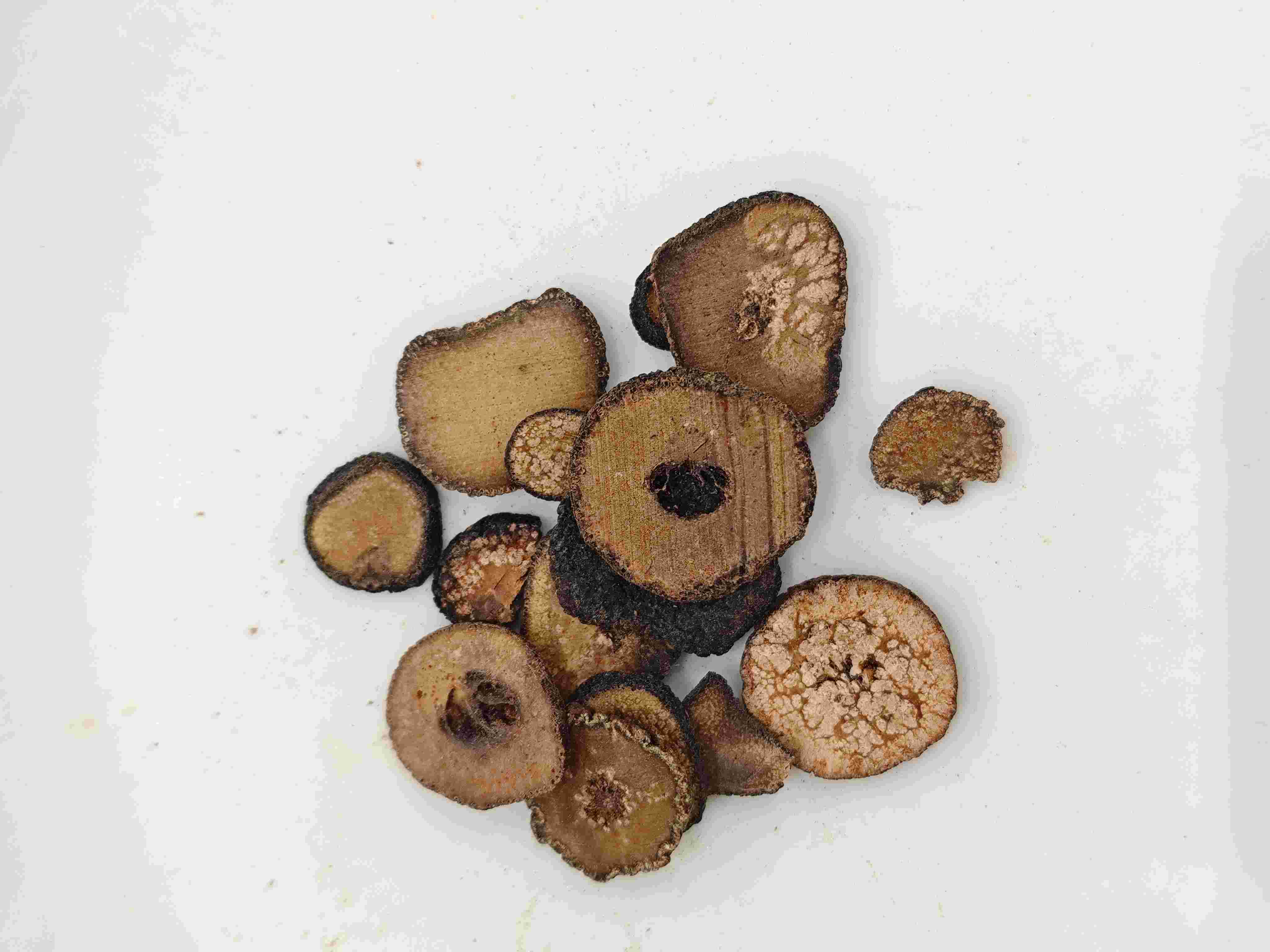 未熟なビターオレンジ(zhǐshí)