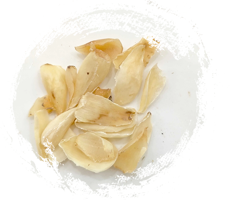 リリー球体（baihe）