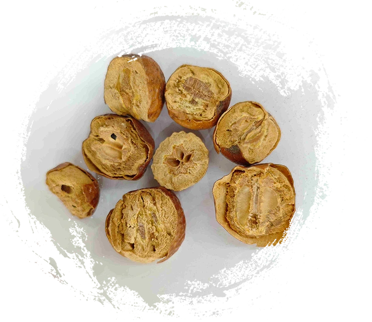 Toosendan Fruit（Chuānliánzǐ）