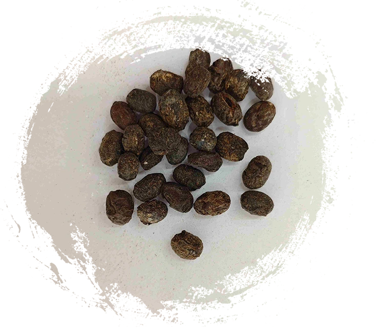 発酵大豆（dàndòuChǐ）