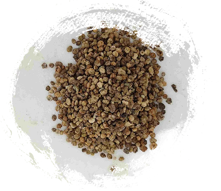 コチアフルーツ（difu zi）