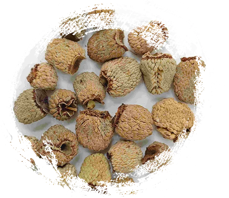 ラズベリーフルーツ（fùpénzǐ）