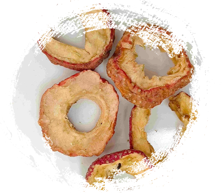 伝統的な漢方薬におけるハーブ植物の機能を理解する