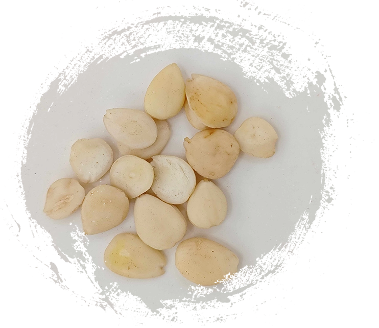 健康習慣にTCM植物を取り入れる：実践的なヒントとメリット