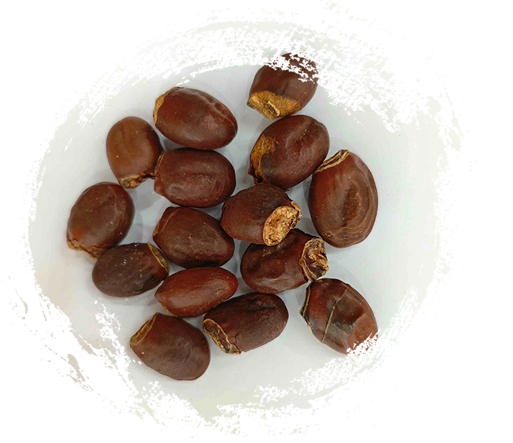 ライチの種（lìzhīhé）