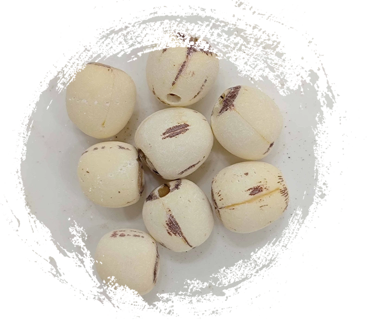 ロータスシード（liánzǐ）