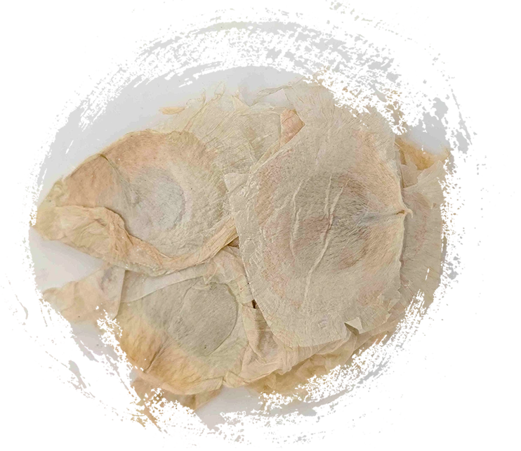 蝶の木の樹皮（Mùhúdié）