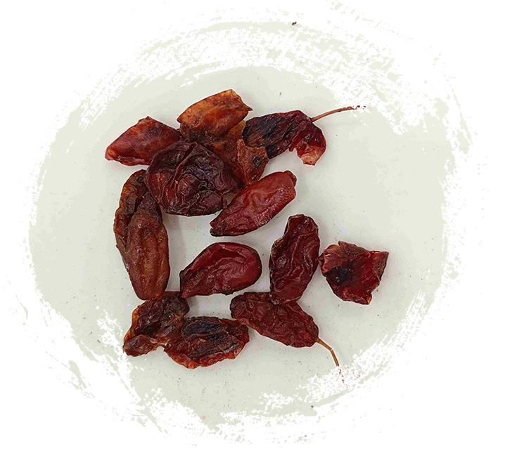 コーナスフルーツ（シャーニネルロウ）