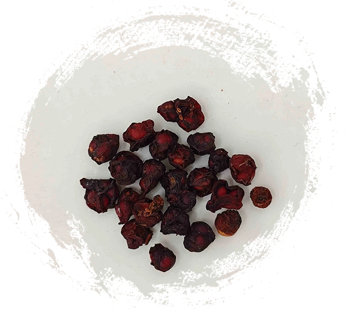 Schisandra Fruit（WǔWèizǐ）：