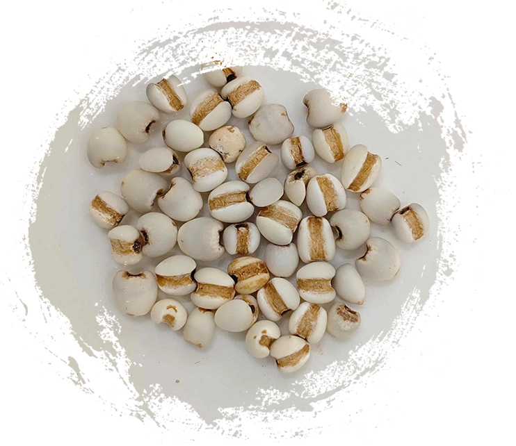 Coix Seed（Yìyǐrén）