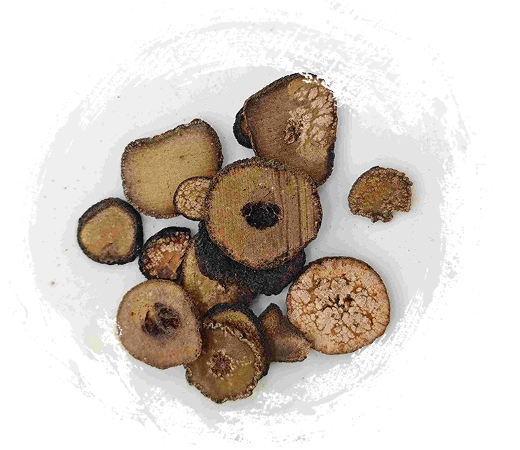 未熟なビターオレンジ（zhǐshí）