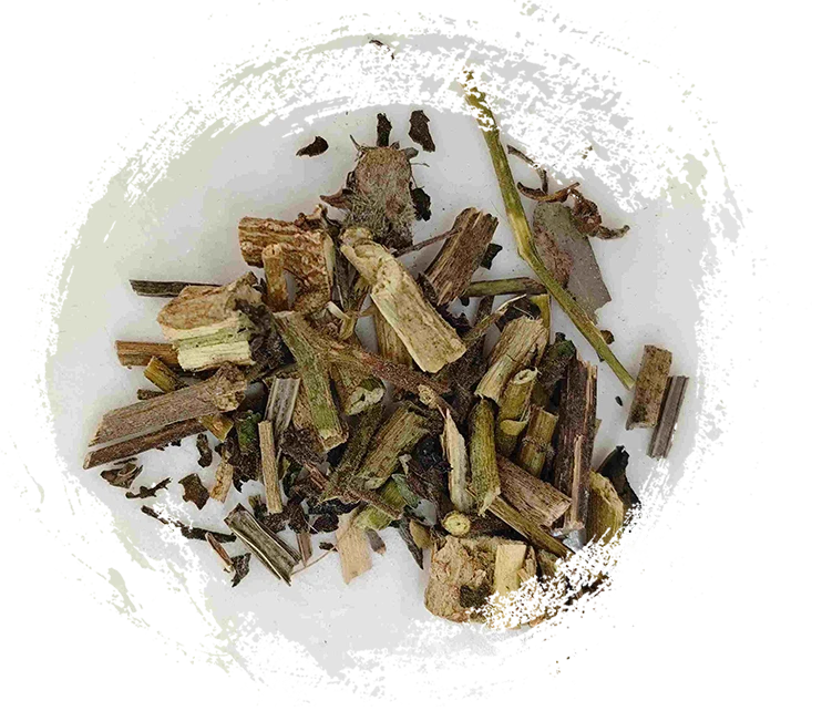 白い芽（báiyīng）