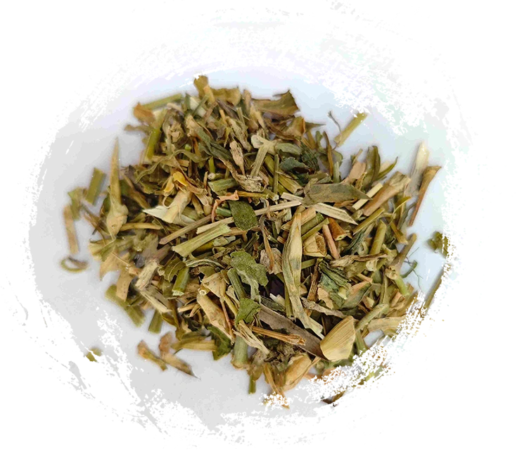 中国のベルフラワー（Qúmài）