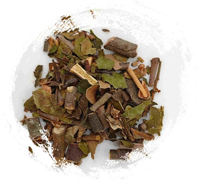 sangjisheng（sang ji sheng）