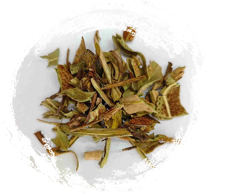 Stonefern（Shíwéi）