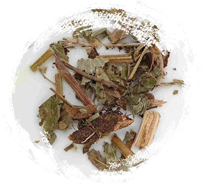 Herba agrimoniae（xiānhècǎo）