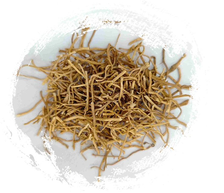 Herba Diplopanthis（XúChángQīng）