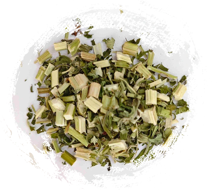 マザーウォート（yìmǔcǎo）