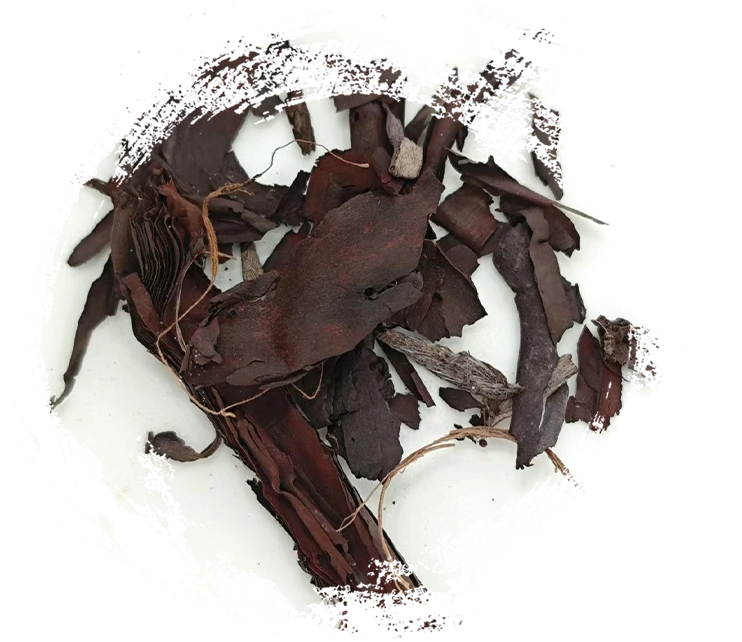 漢方薬の作用原理、メカニズム、そして実践的な応用