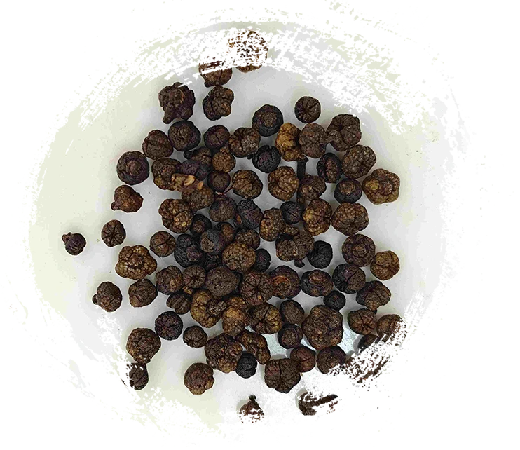 加工されたエボディアフルーツ（Zhìwúzhūyú）