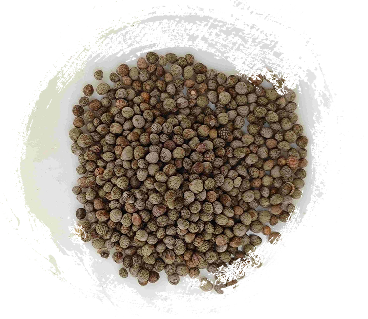 ペリラシード（zǐsūzǐ）