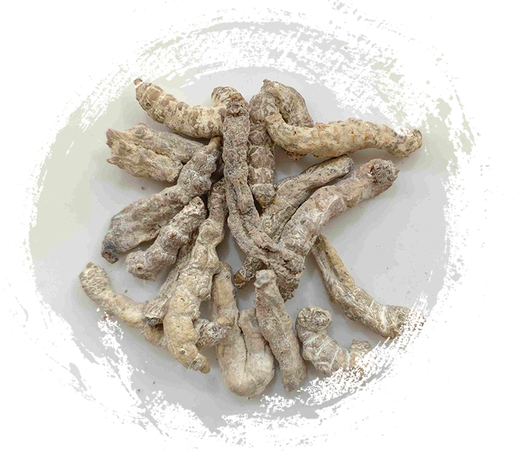 硬いカイコ（jiāngcán）