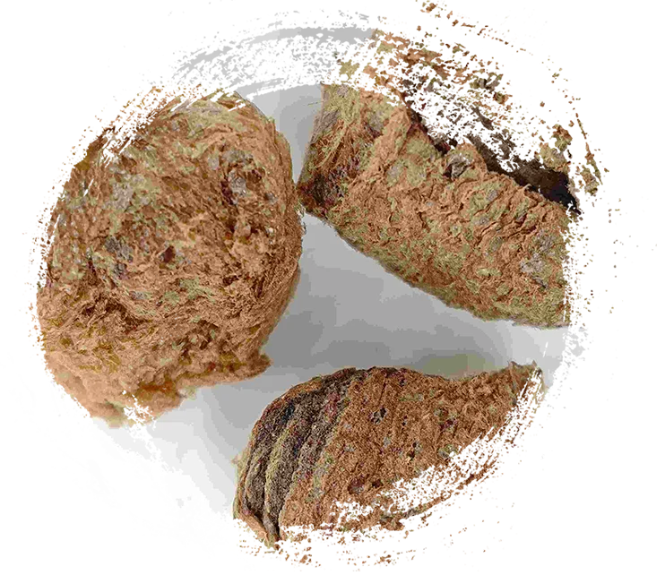 シルクウォームエクスビア（sāngpiáoqiào）