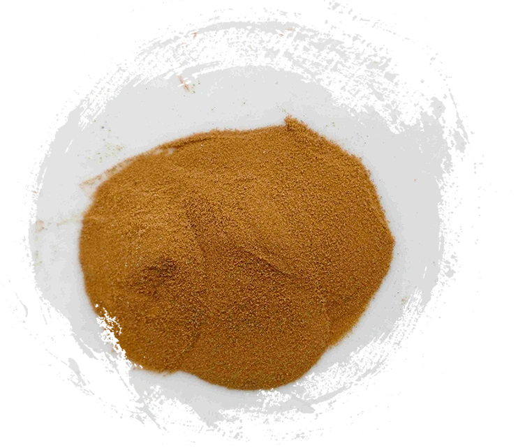 lygodium japonicum（hǎijīnshā）