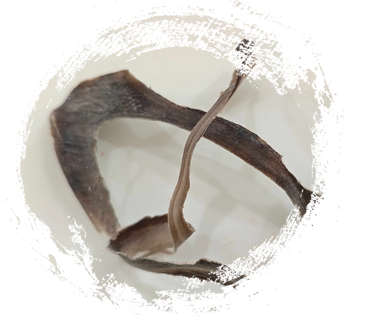 ウォーターバッファローホーン（shuǐniújiǎo）