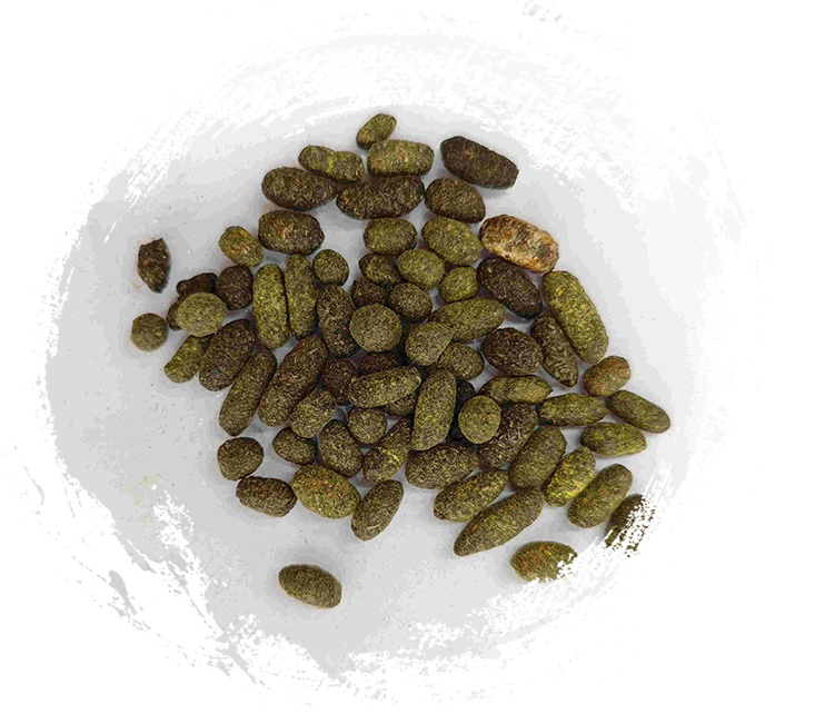 ラッカーツリー樹脂（wǔlíngzhī）