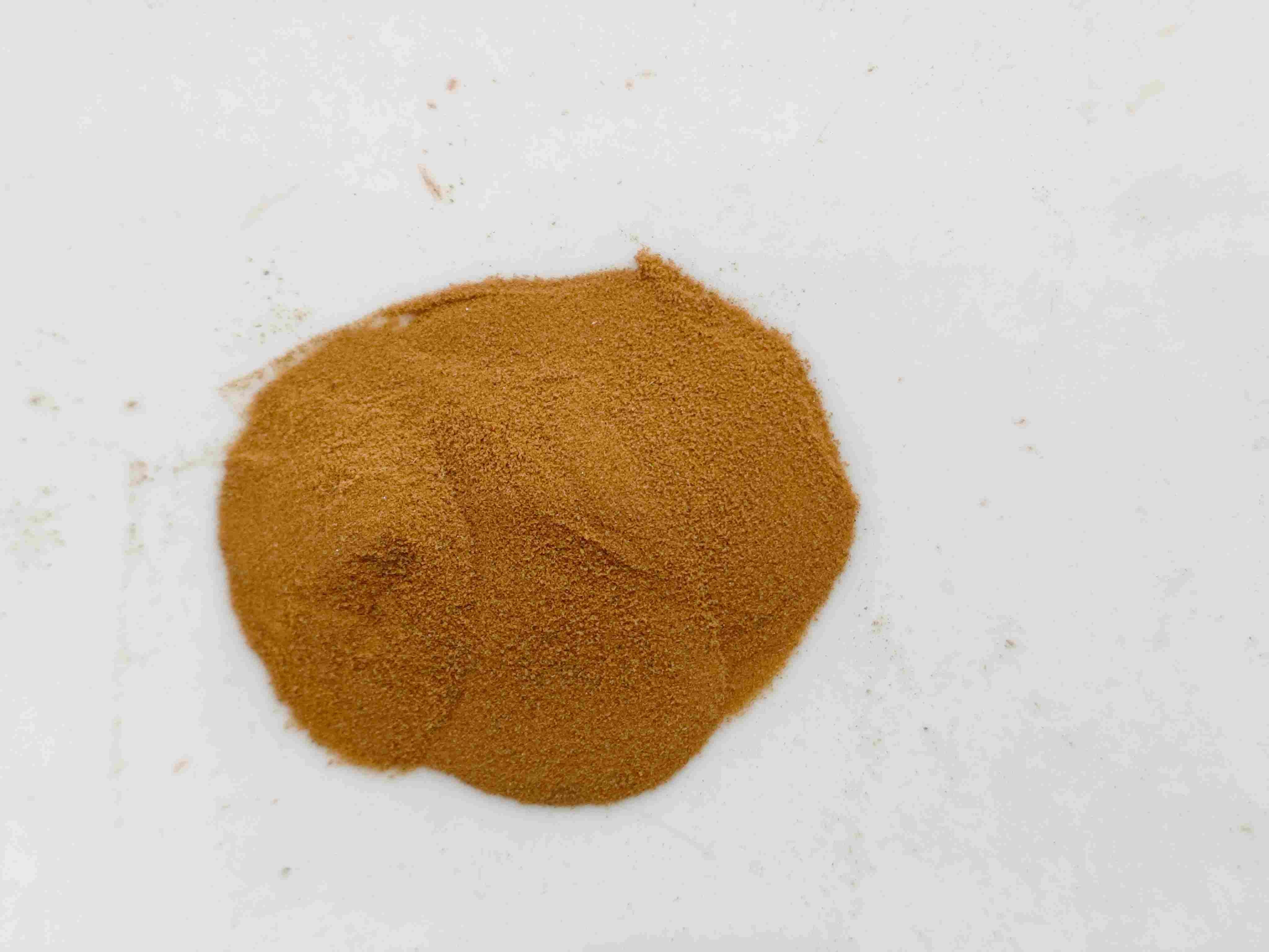 lygodium japonicum(hǎijīnshā)