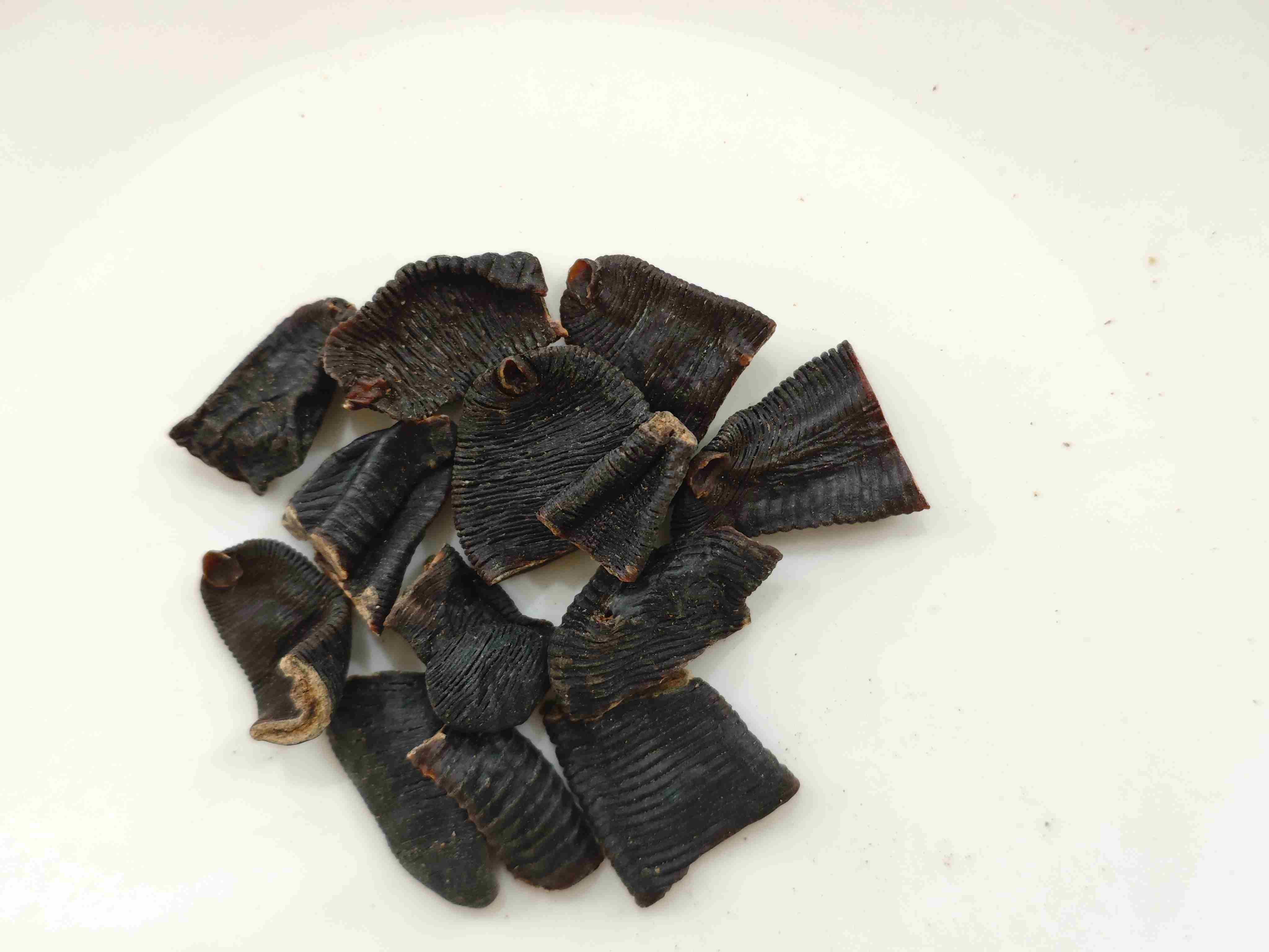 leech（shuǐzhì）