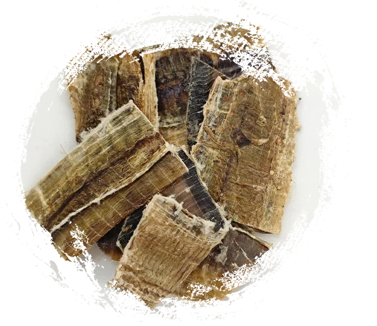 Mearworm（dìlóng）