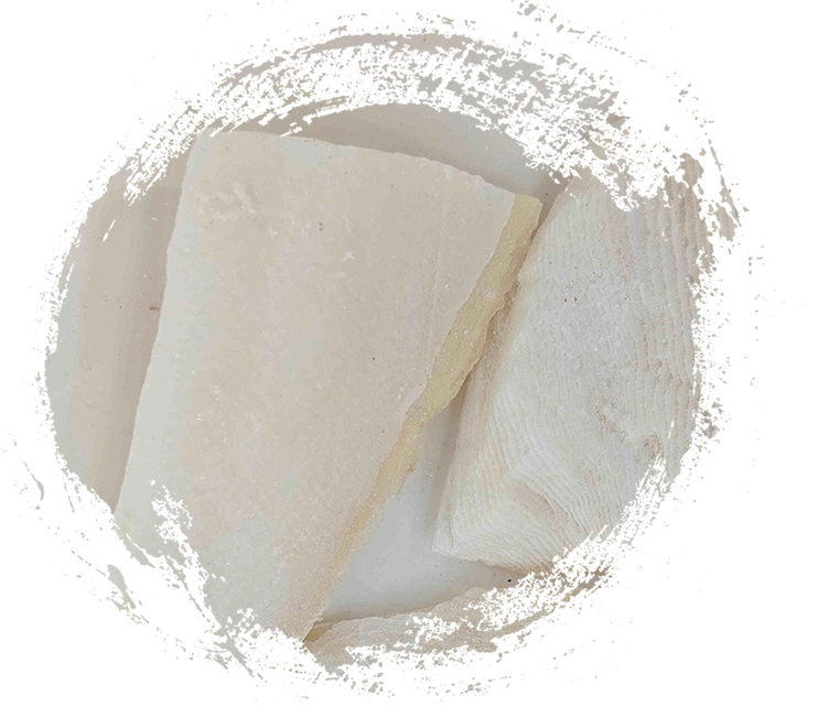 cuttlebone（hǎipiāoxiāo）