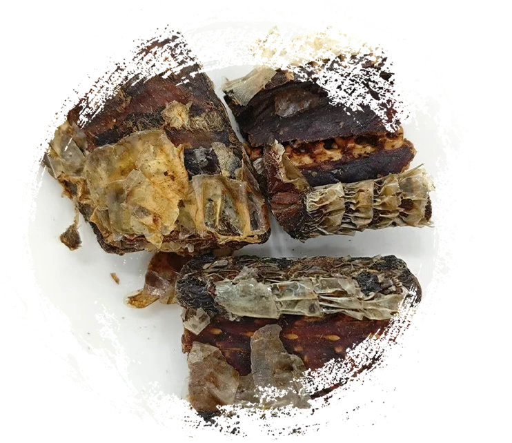 ワイン加工されたブラックジグザグヘビ（jiǔwūshāosh&eacute;）