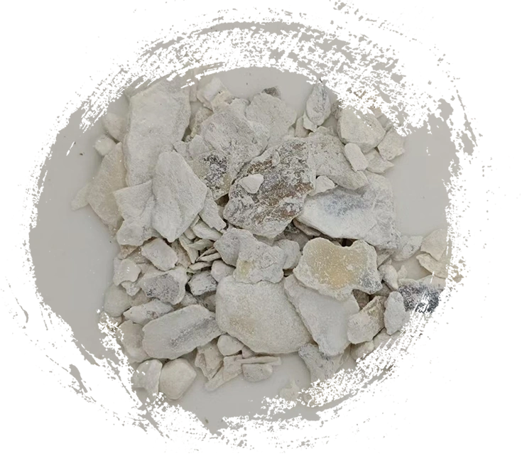 オイスターシェル（Mǔl&igrave;）