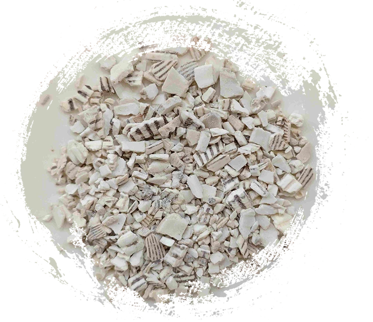 thatきタイルシェル（wǎl&eacute;ngzǐ）