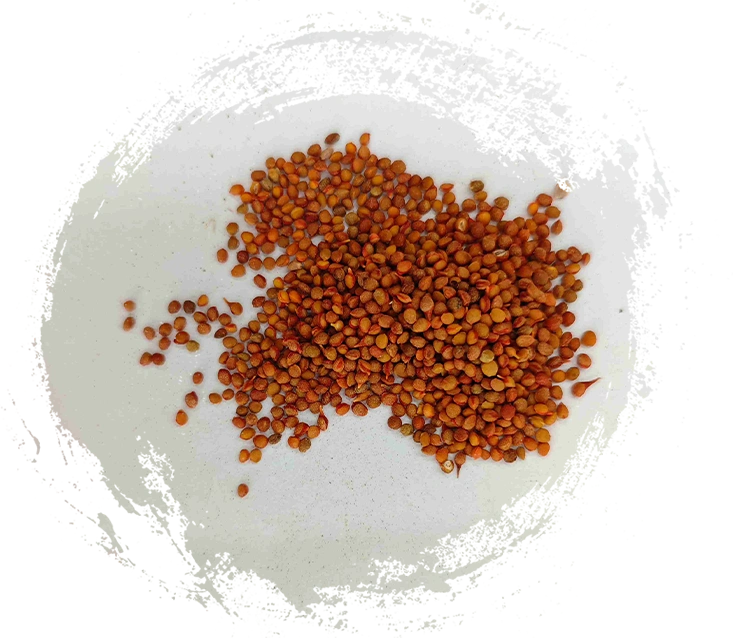 高品質の伝統的な中国ミネラル医薬品を選ぶ際に注目すべき特徴は何ですか?