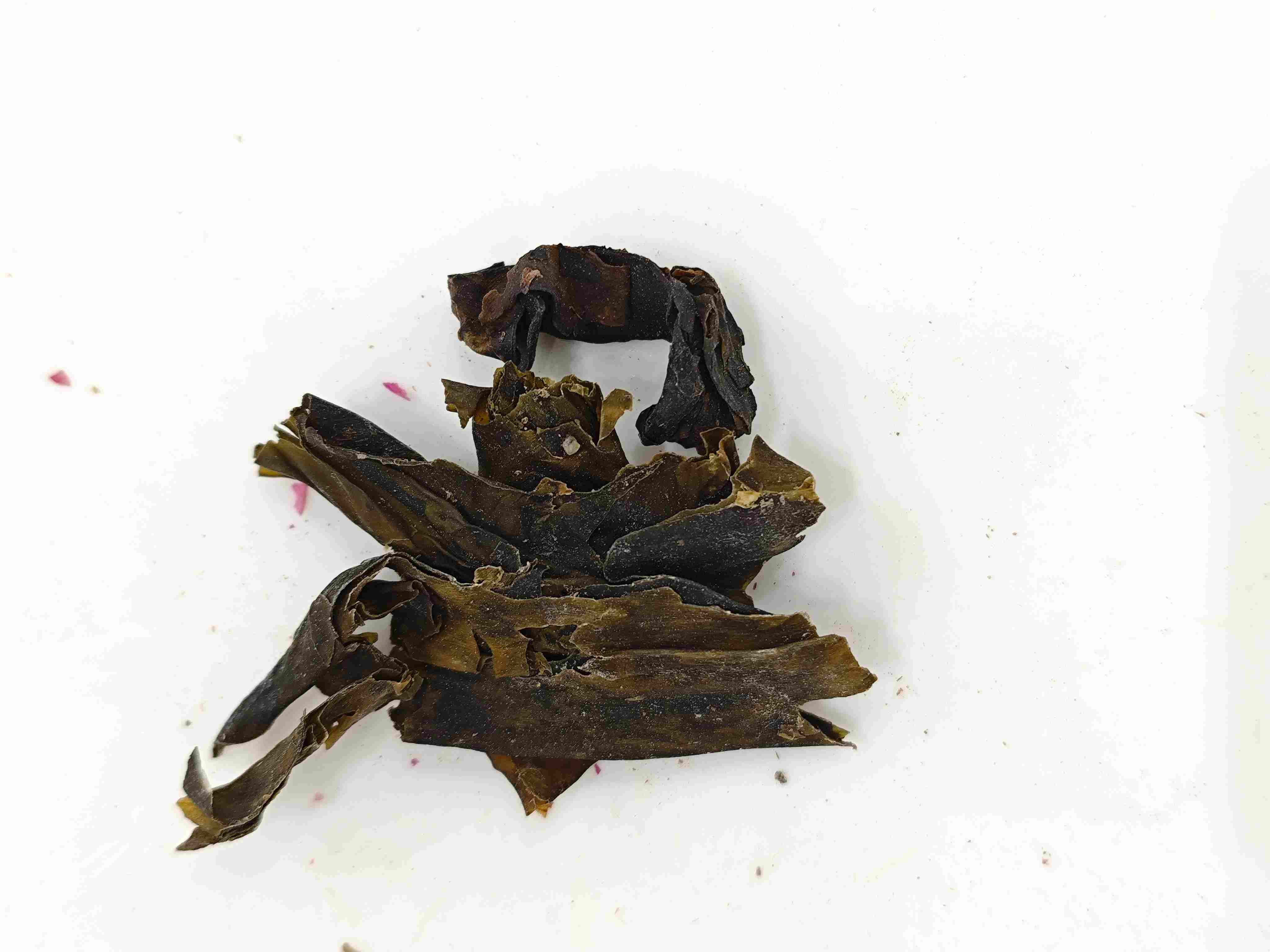 コンブ(クーンブ)